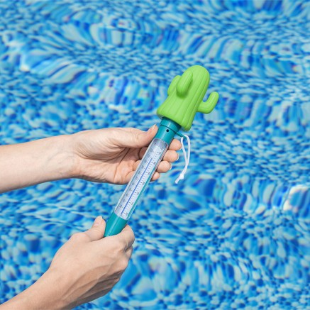 Bestway Termometro Galleggiante Cactus per Piscina e Vasca da Bagno 58 2