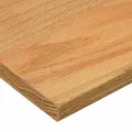 Marches d'escalier 16 pcs marron clair 100x25x2 cm chêne massif