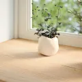 Appuis de fenêtre 2 pcs non traité 70x30x2 cm bois chêne massif