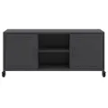Meuble TV noir 100,5x39x43,5 cm acier