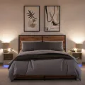 Armoires de chevet et lumières LED 2 pcs chêne sonoma