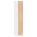 Armoire d'apothicaire blanc 30x41x174,5 cm bois d'ingénierie