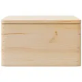 Boîte en bois avec couvercle 40x30x23 cm bois de pin massif