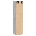 Armoire de salle de bain suspendue gris béton bois d'ingénierie