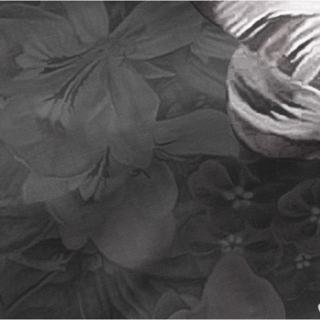 Kussensloop HappyFriday Onyx Multicolour 60 x 70 cm