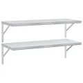 Étagères murales 2 pcs 100x40 cm argenté acier inoxydable