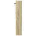 Armoire à vitrine chêne sonoma 100x8,5x50 cm bois d'ingénierie