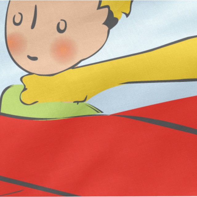 Quilted Zipper Bedding HappyFriday Le Petit Prince Son Avion Multicolo