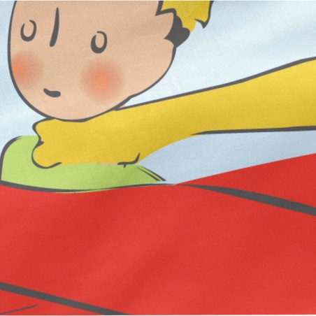 Quilted Zipper Bedding HappyFriday Le Petit Prince Son Avion Multicolo