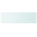 Panneaux d'étagère 2 pcs Verre Transparent 100 x 30 cm