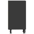 Armoire de plancher noir 30x44,5x81,5 cm bois d'ingénierie