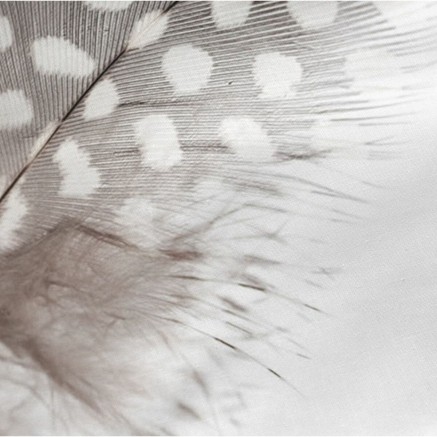 Kissenbezug HappyFriday Light Bunt 45 x 110 cm 2