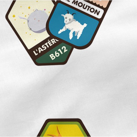 Taie d'oreiller HappyFriday Le Petit Prince Son avion Multicouleur 50