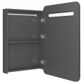 Armoire de salle de bain à miroir LED gris brillant 60x11x80 cm