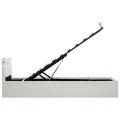 Cadre de lit à rangement hydraulique sans matelas avec LED