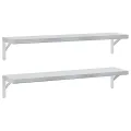 Étagères murales 2 pcs 100x23,5 cm argenté acier inoxydable
