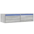 Meuble TV avec lumières LED sonoma gris 100X35,5x25 cm