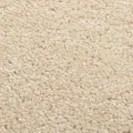 Tapis à poils courts 160x230 cm Beige