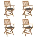 Chaises pliables de jardin lot de 4 avec coussins Bois d'acacia