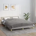 Couverture lestée Gris 200x220 cm 13 kg Tissu