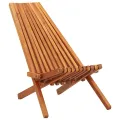 Chaises pliables d'extérieur lot de 2 Bois d'acacia solide