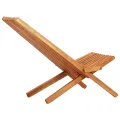 Chaises pliables d'extérieur lot de 2 Bois d'acacia solide