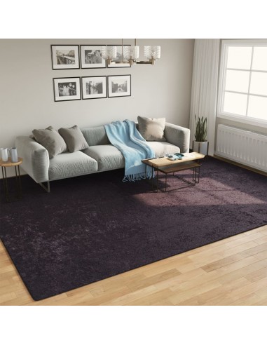 Tapis lavable anthracite 400x300 cm antidérapant