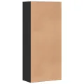 Armoire à chaussures Noir 80x39x178 cm Bois d'ingénierie