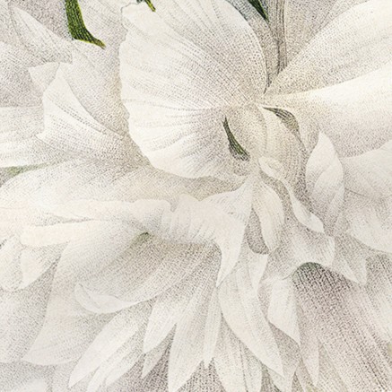 Funda de almohada HappyFriday Azahara Multicolor 45 x 110 cm (2 Unidad 2