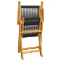 Chaises de jardin lot de 2 noir bois d'acacia et polypropylène