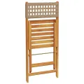 Chaises de jardin pliantes lot de 4 beige rotin et bois massif