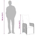 Chaise inclinable de jardin avec coussins marron résine tressée