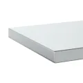 Étagères murales 2 pcs 100x30x3 cm argenté acier inoxydable
