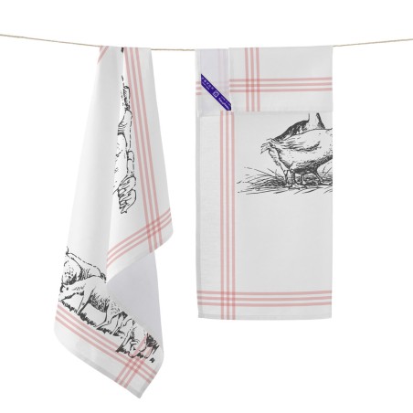 Keukendoek HappyFriday Cua Cua Multicolour 70 x 50 cm (2 Stuks)