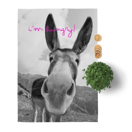 Panno da Cucina HappyFriday Blanc Farm Multicolore 70 x 50 cm (2 Unit