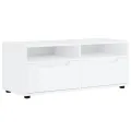 Meuble TV VISNES blanc 100x40x38 cm bois d'ingénierie