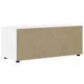 Meuble TV VISNES blanc 100x40x38 cm bois d'ingénierie