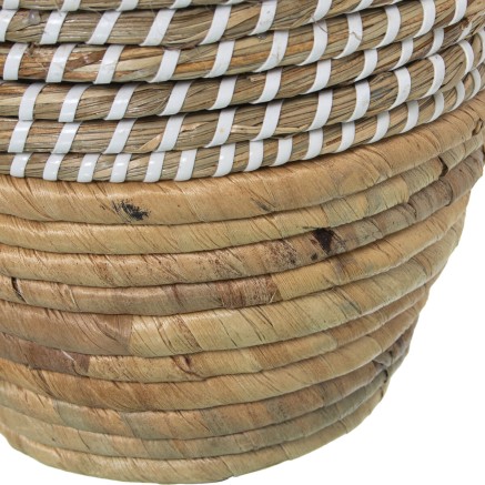 Vase Alexandra House Living Seegras 21 x 21 x 30 cm 2