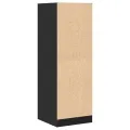 Armoire d'apothicaire noir 40x41x118 cm bois d'ingénierie