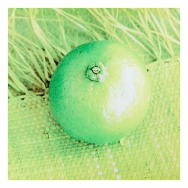 Leinwand Alexandra House Living Canvas-Stoff Holz 40 x 2 x 40 cm 6 St