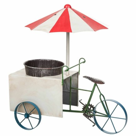 Grondlegger Alexandra House Living Tricycle Ijzer 34 x 52 x 49 cm