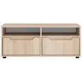 Meuble TV VISNES chêne sonoma 100x40x38 cm bois d'ingénierie