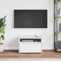 Meuble TV VISNES blanc 60x40x38 cm bois d'ingénierie