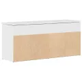 Banc à chaussures blanc brillant 102x30,5x45 cm bois ingénierie