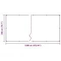 Bâche transparente avec œillets 2x12 m polyéthylène