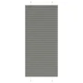 Store plissé anthracite 100x200 cm largeur du tissu 99,4 cm