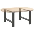 Pieds de table basse anthracite 2 pcs 70x(42-43) cm acier
