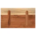 Dessus de table 50x20x2,5 cm rectangulaire bois massif d'acacia