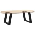Pieds de table basse forme de U 2 pcs noir 50x(42-43) cm acier