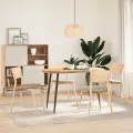 Pieds de table basse forme conique 4 pcs acier naturel 72-73 cm